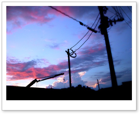20100819_2.jpg