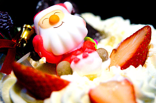 DSC01308_mini.jpg