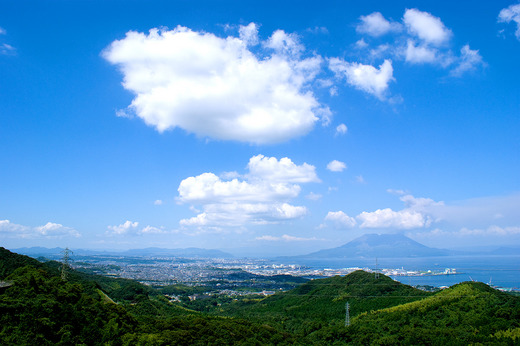 DSC01819_mini.jpg